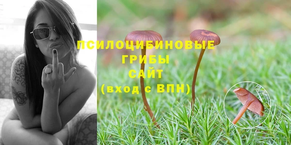 PSILOCYBIN Богородск