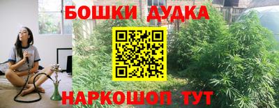 сатива Камышлов