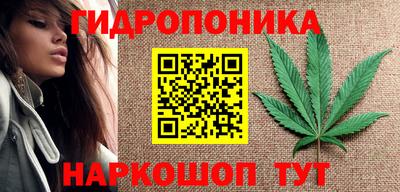 сатива Камышлов
