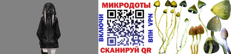 Галлюциногенные грибы MAGIC MUSHROOMS как найти наркотики Наро-Фоминск