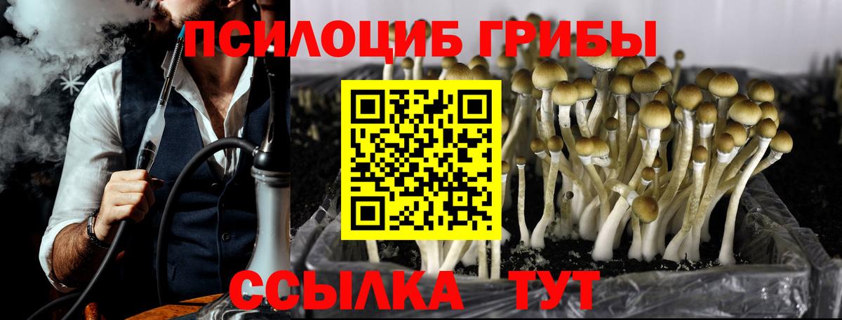 Галлюциногенные грибы Magic Shrooms  Псилоцибиновые грибы Psilocybe  цены наркотик  Наро-Фоминск  Вход с VPN 