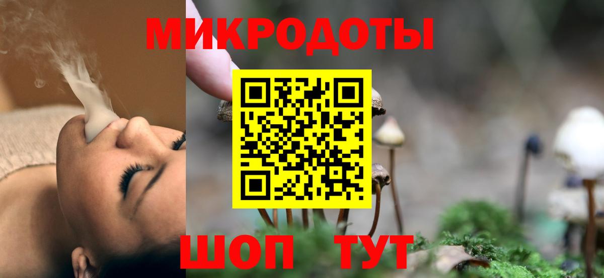 Галлюциногенные грибы Psilocybe Наро-Фоминск